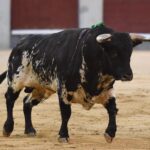 Madrid, viernes 27 de septiembre de 2019