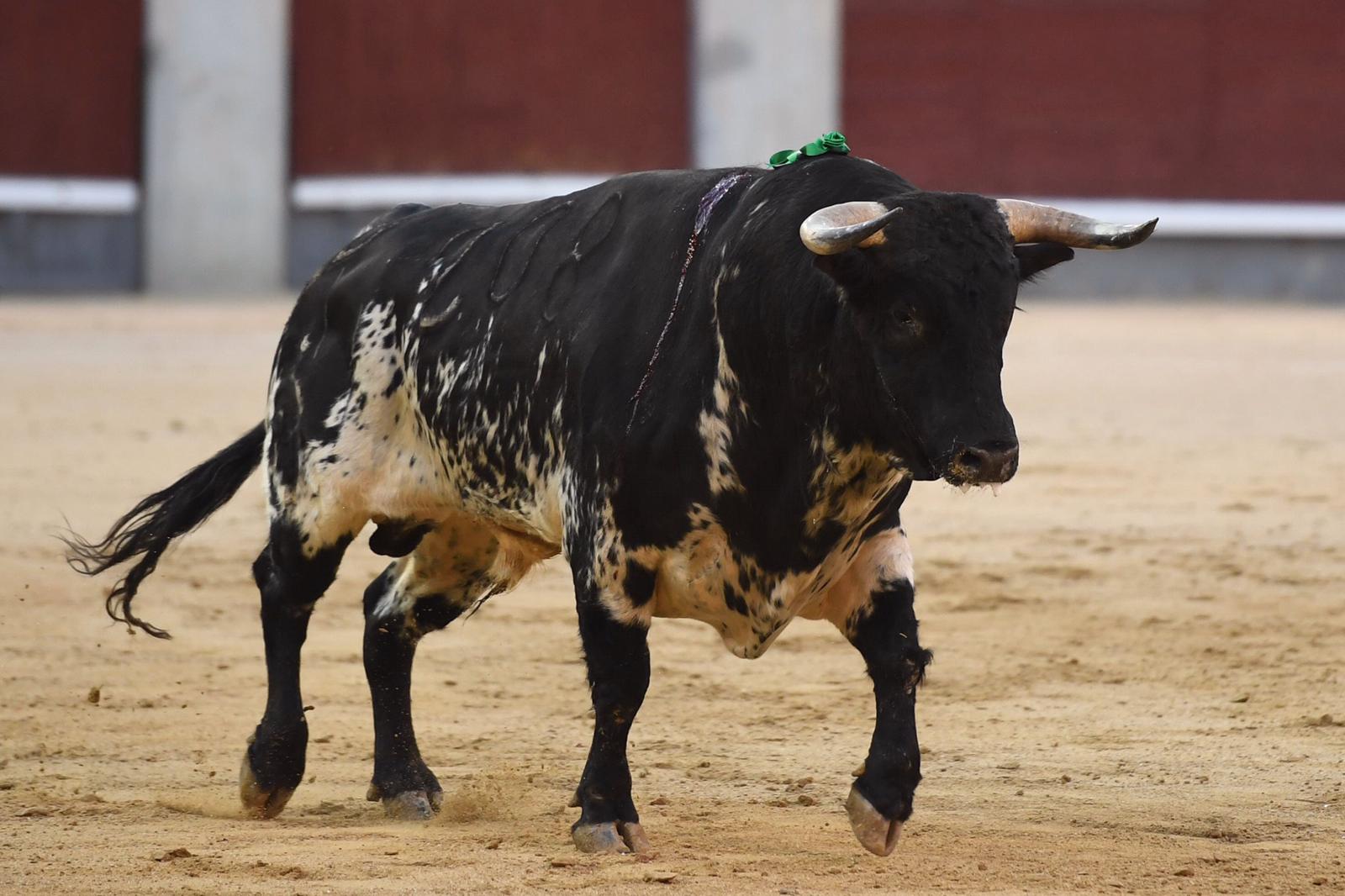 Madrid, viernes 27 de septiembre de 2019