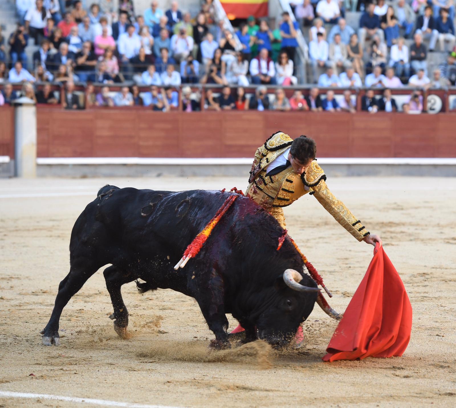 Madrid, sábado 28 de septiembre de 2019