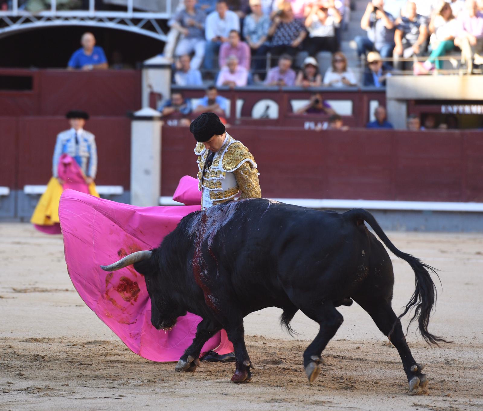 Madrid, sábado 28 de septiembre de 2019