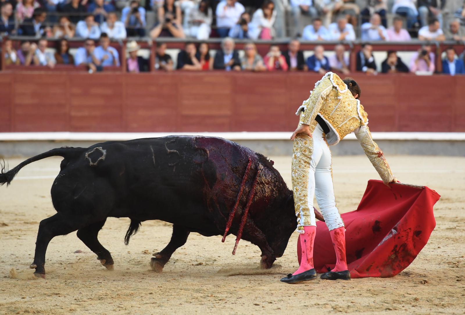 Madrid, sábado 28 de septiembre de 2019