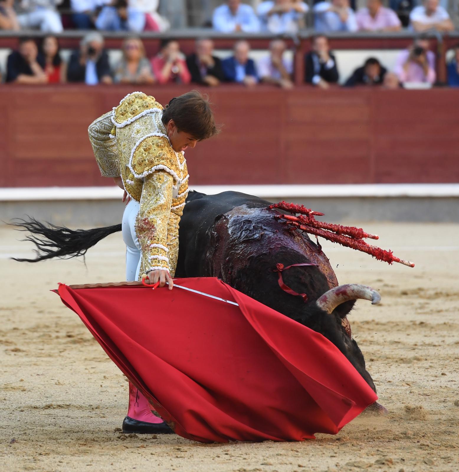Madrid, sábado 28 de septiembre de 2019