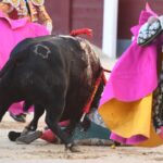 Madrid, sábado 28 de septiembre de 2019