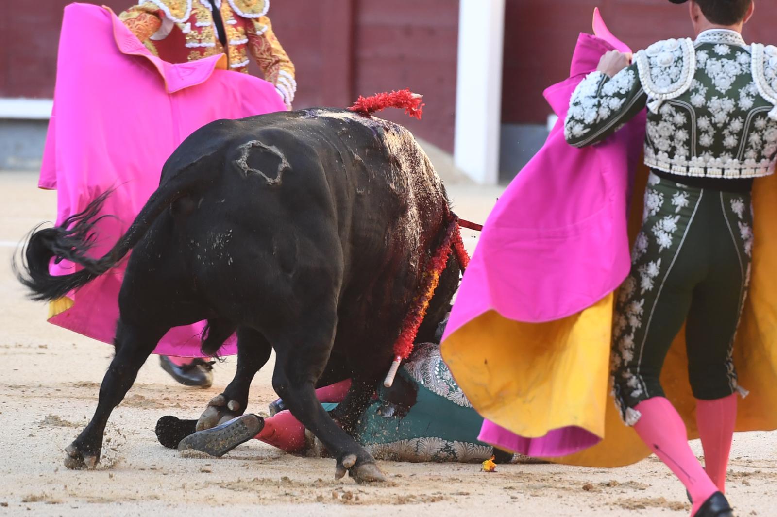 Madrid, sábado 28 de septiembre de 2019