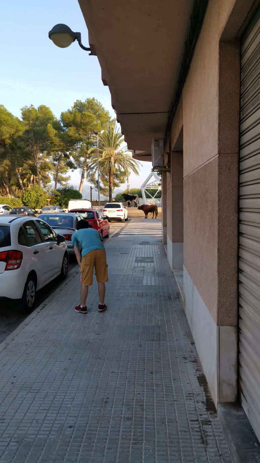 Algemesí, sábado 28 de septiembre de 2019