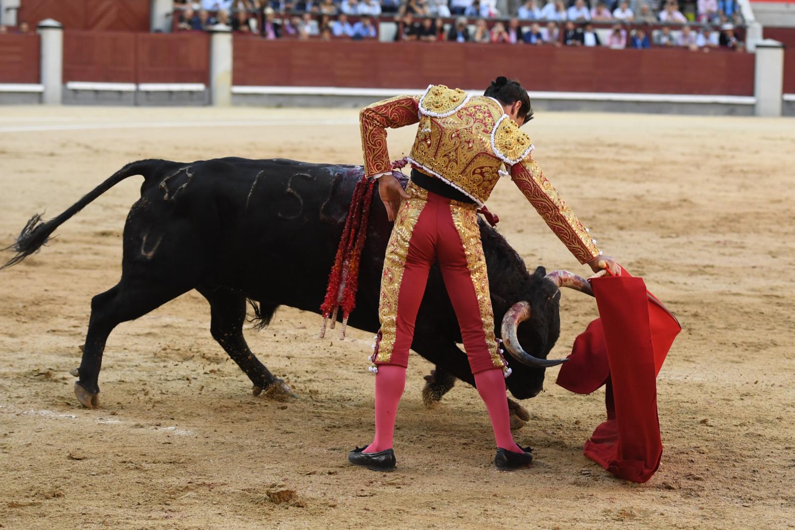 Madrid, sábado 28 de septiembre de 2019