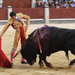 Madrid, sábado 28 de septiembre de 2019