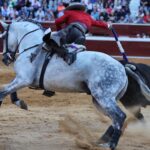 Soria, sábado 28 de septiembre de 2019
