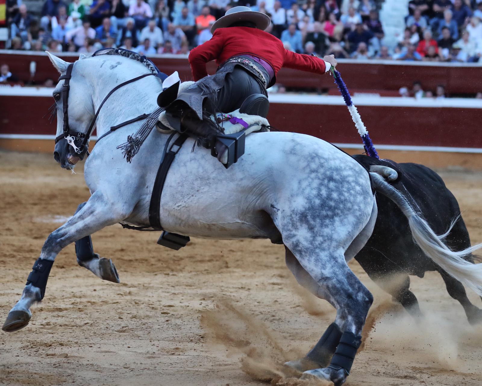 Soria, sábado 28 de septiembre de 2019