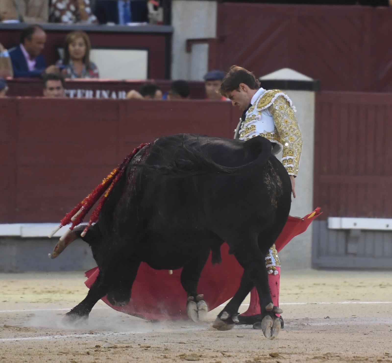 Madrid, sábado 28 de septiembre de 2019