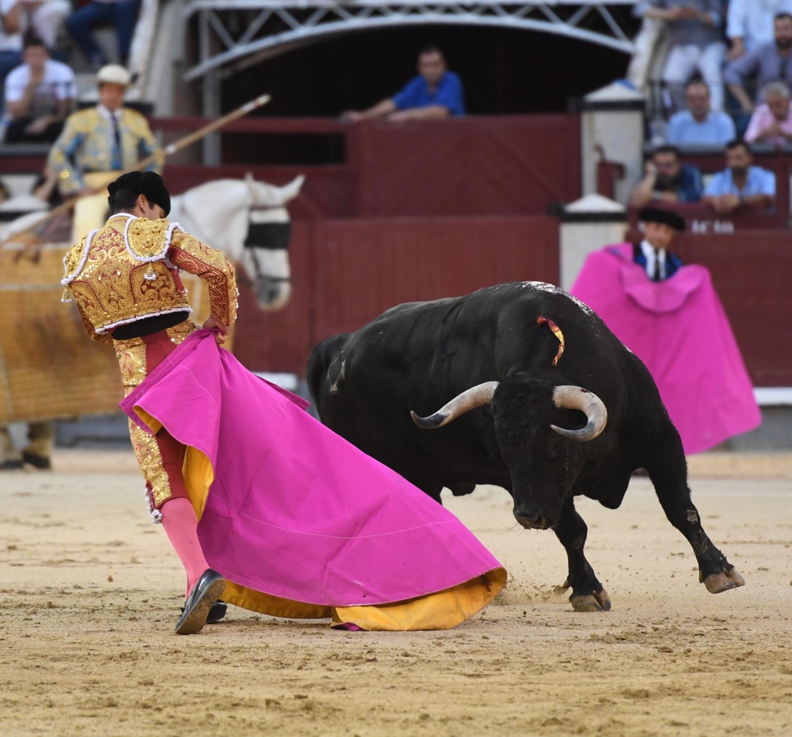 Madrid, sábado 28 de septiembre de 2019