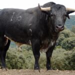 Sorteo. Corella, domingo 29 de septiembre de 2019