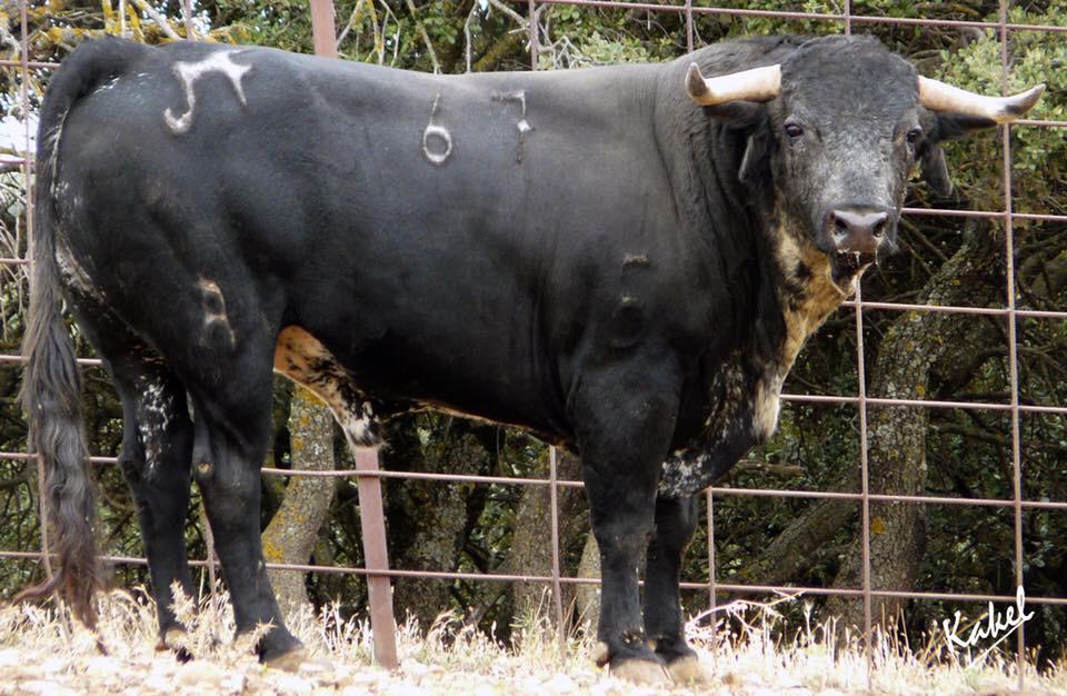 Sorteo. Corella, domingo 29 de septiembre de 2019