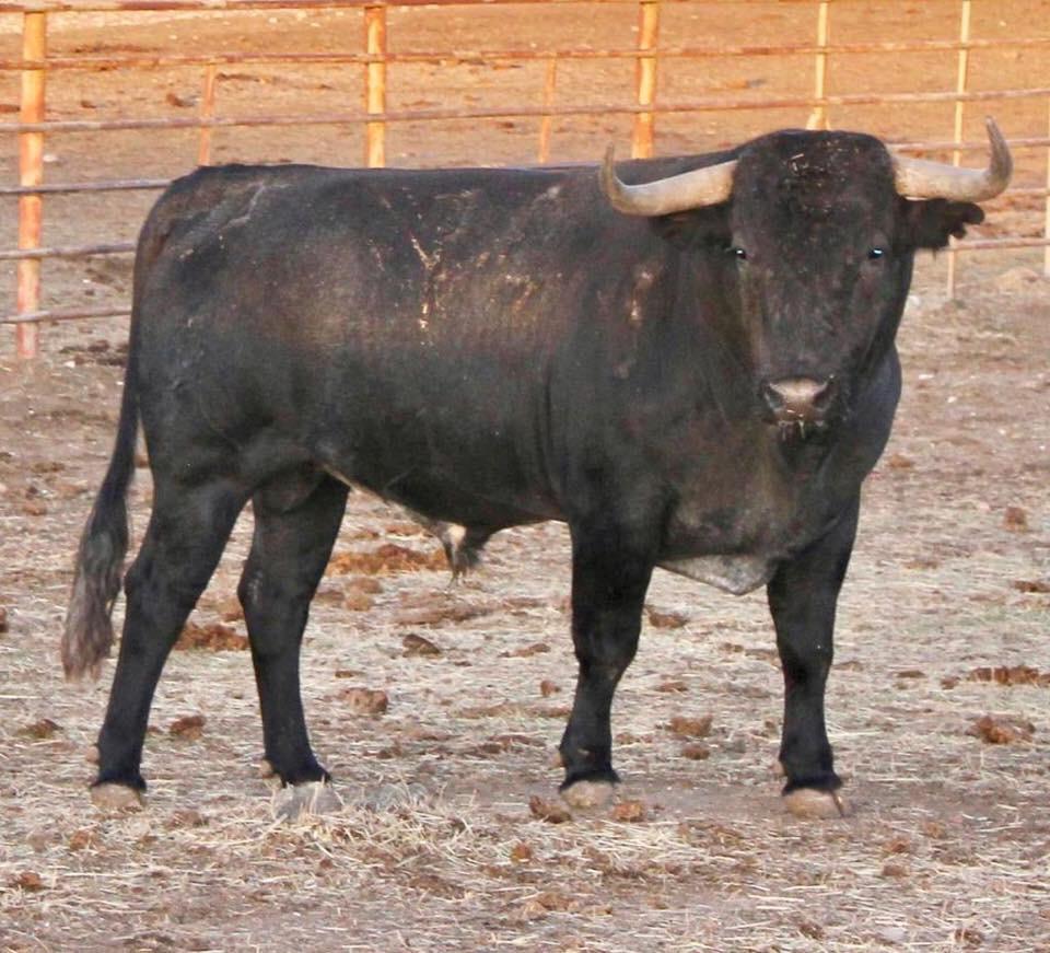 Sorteo. Corella, domingo 29 de septiembre de 2019