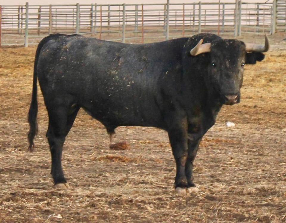 Sorteo. Corella, domingo 29 de septiembre de 2019