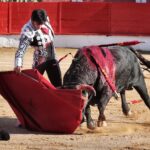 Corella, domingo 29 de septiembre de 2019