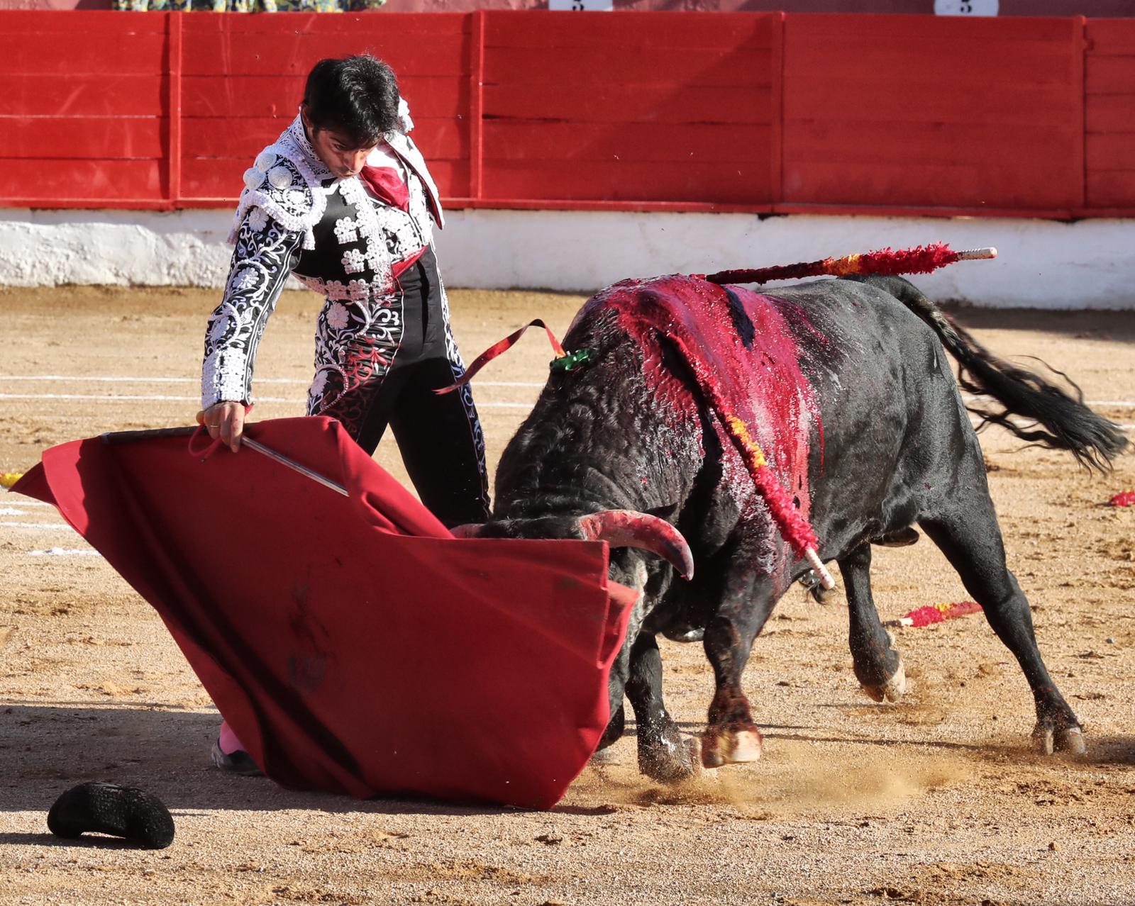 Corella, domingo 29 de septiembre de 2019