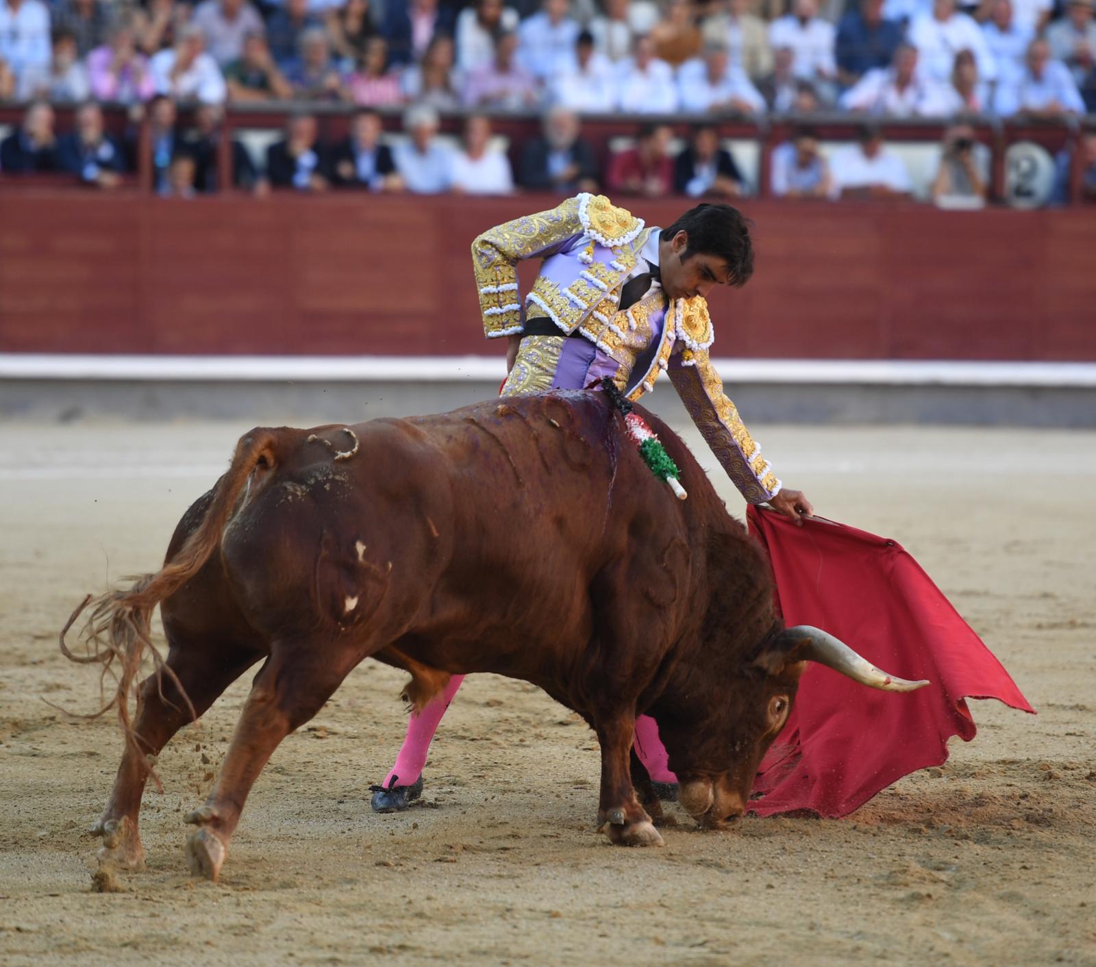 Madrid, domingo 29 de septiembre de 2019
