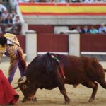 Madrid, domingo 29 de septiembre de 2019