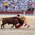 Madrid, domingo 29 de septiembre de 2019