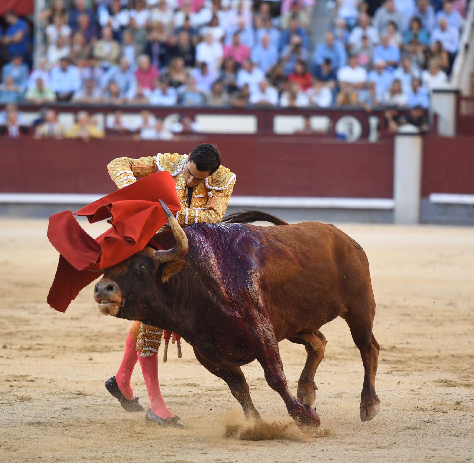 Madrid, domingo 29 de septiembre de 2019
