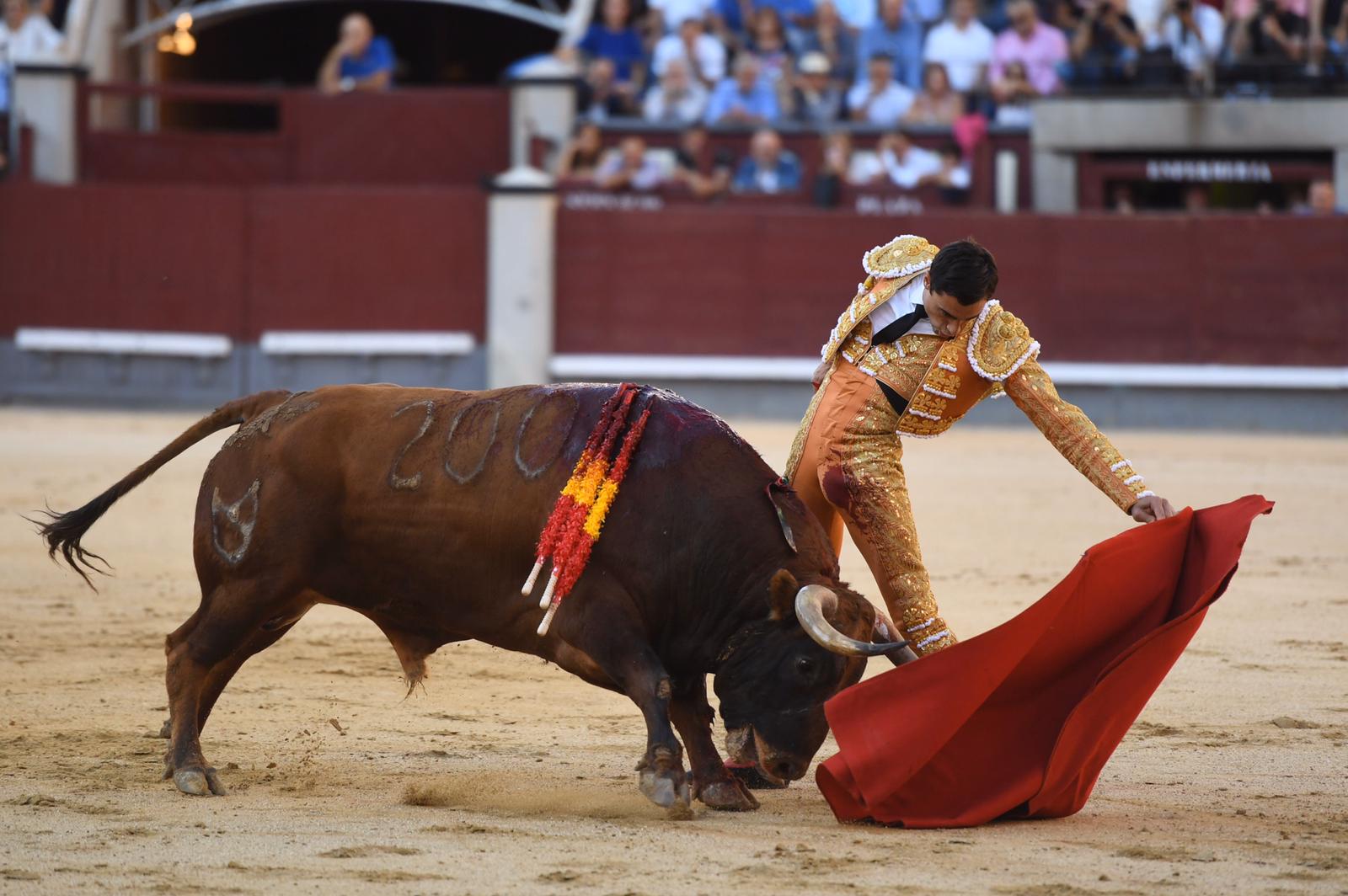 Las ganaderías elegidas por Paco Ureña para su gesto en Las Ventas