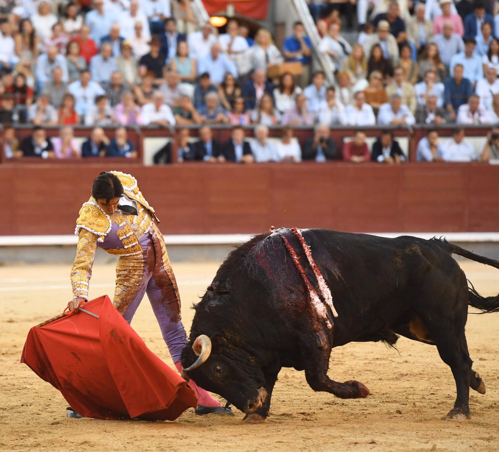 Madrid, domingo 29 de septiembre de 2019