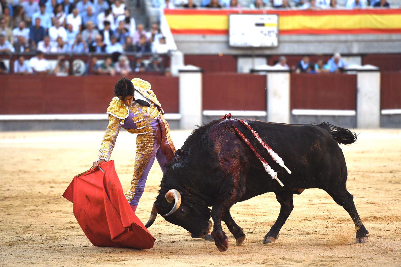 Madrid, domingo 29 de septiembre de 2019