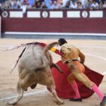 Madrid, domingo 29 de septiembre de 2019