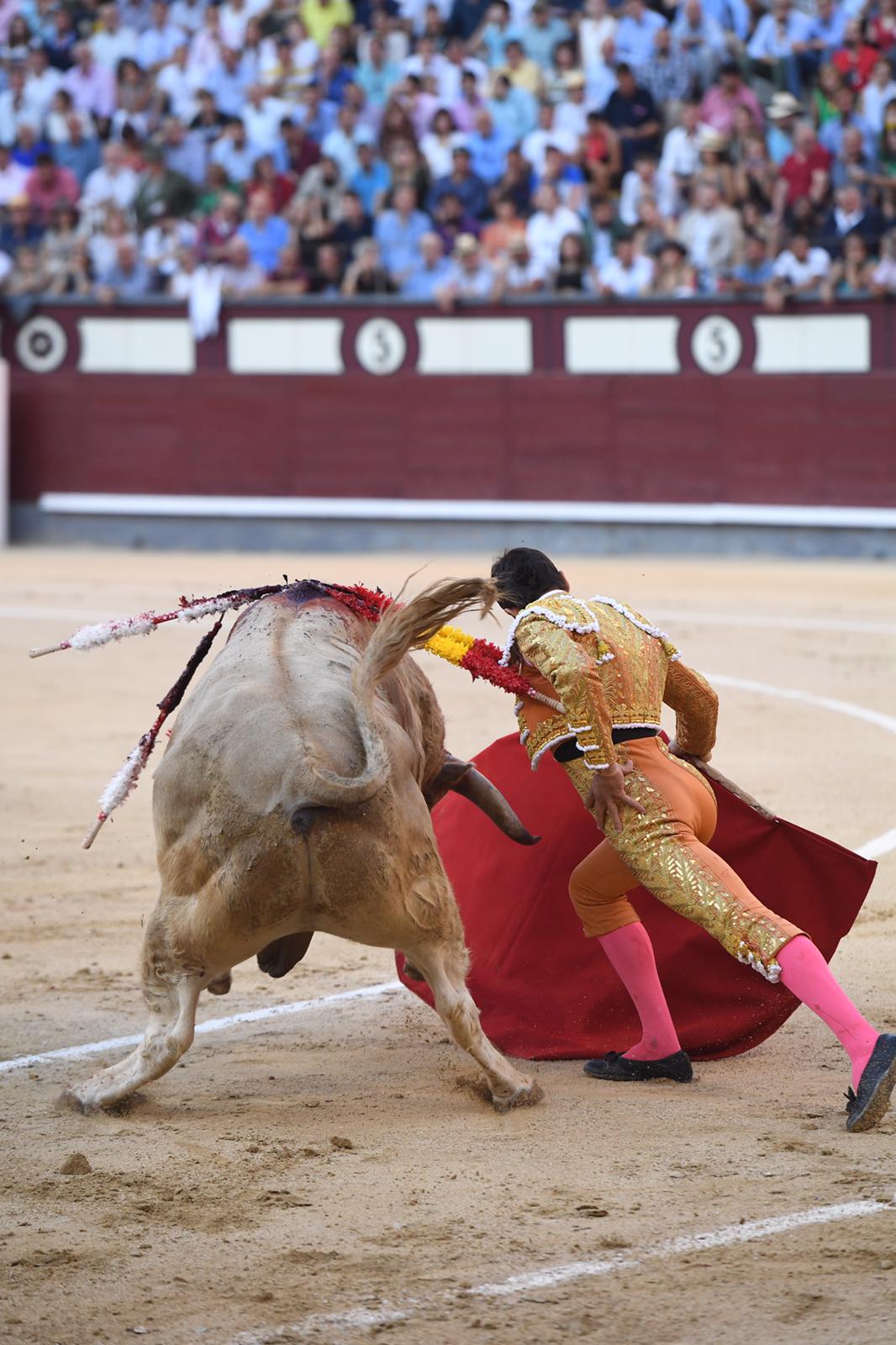 Madrid, domingo 29 de septiembre de 2019