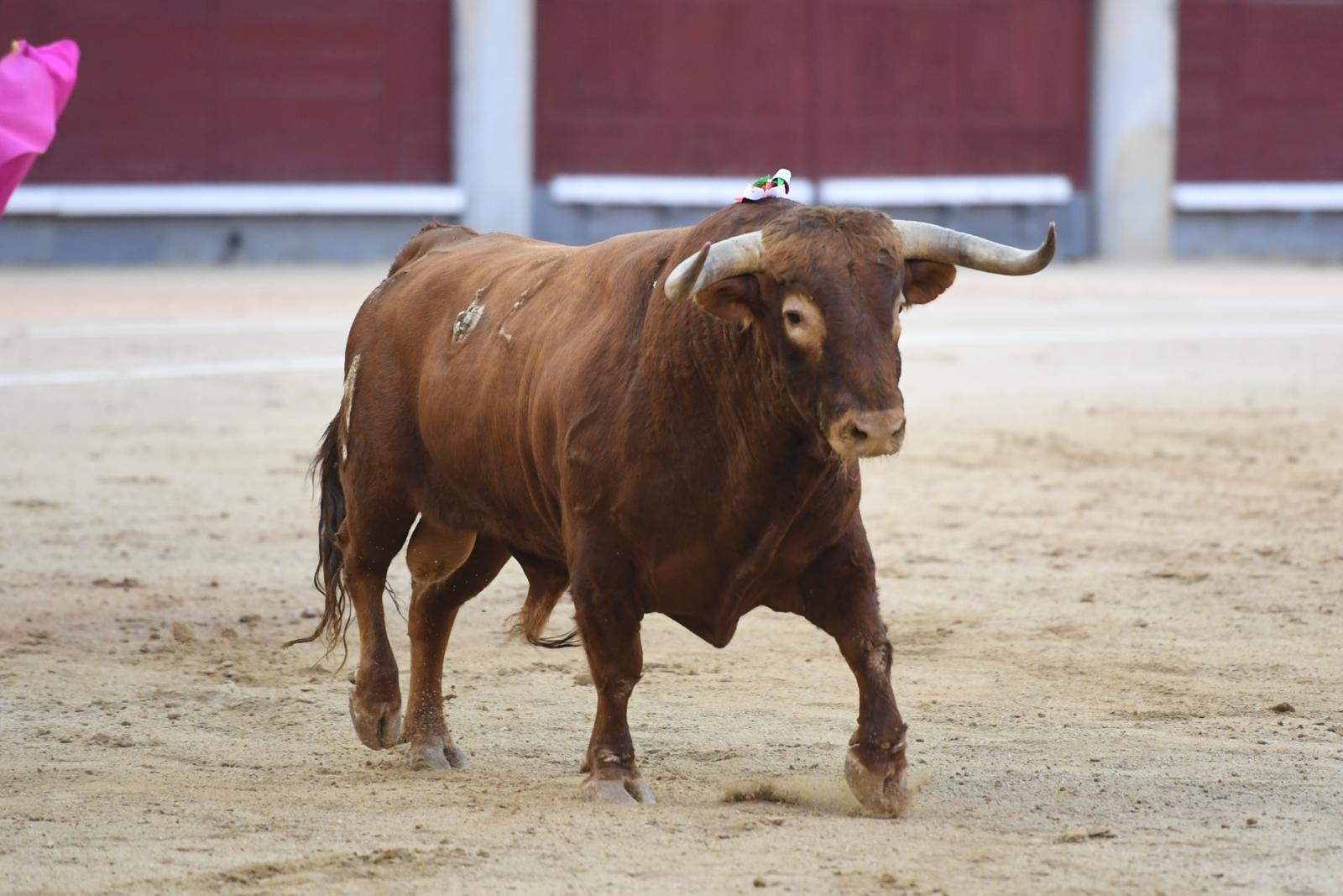 Madrid, domingo 29 de septiembre de 2019