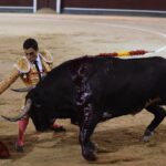 Madrid, domingo 29 de septiembre de 2019