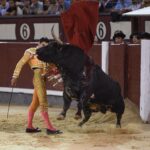 Madrid, domingo 29 de septiembre de 2019