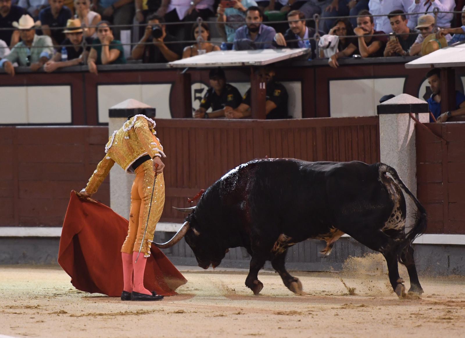 Madrid, domingo 29 de septiembre de 2019