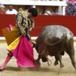 Bayona, domingo 1 de septiembre de 2019. Novillada matinal