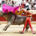 Bayona, domingo 1 de septiembre de 2019. Novillada matinal