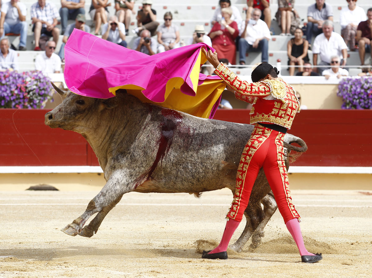 Bayona, domingo 1 de septiembre de 2019. Novillada matinal