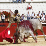 Bayona, domingo 1 de septiembre de 2019. Novillada matinal
