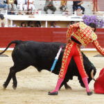 Bayona, domingo 1 de septiembre de 2019. Novillada matinal