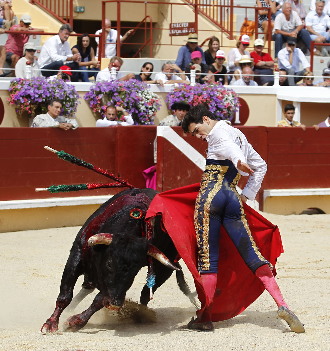 Bayona, domingo 1 de septiembre de 2019. Novillada matinal