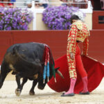 Bayona, domingo 1 de septiembre de 2019. Novillada matinal