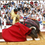 Dax, 7 de septiembre de 2019. Toros de Victorino Martín para Emilio de Justo, como único espada