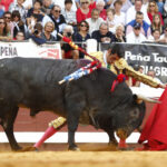 Dax, 7 de septiembre de 2019. Toros de Victorino Martín para Emilio de Justo, como único espada