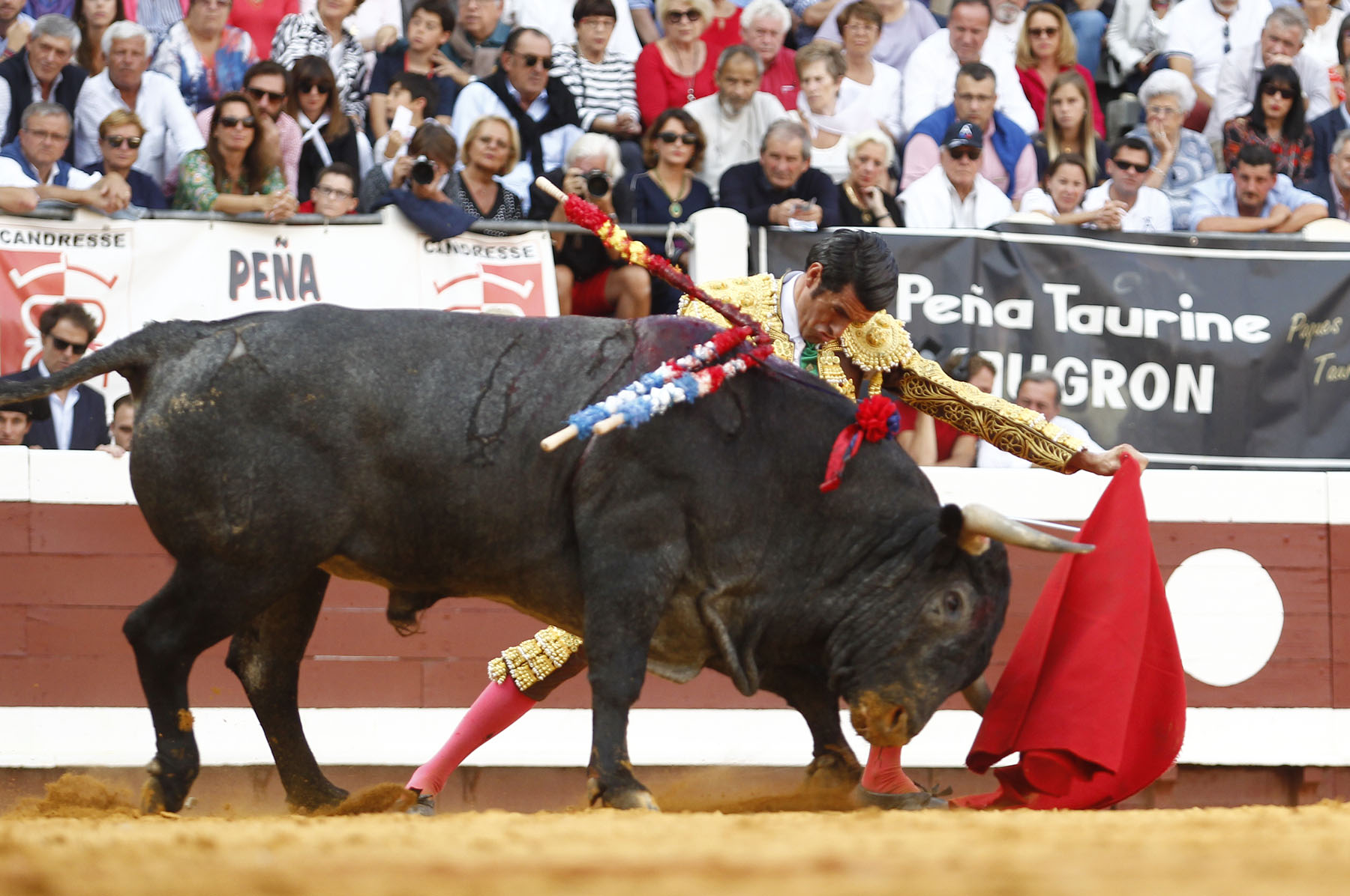 Dax, 7 de septiembre de 2019. Toros de Victorino Martín para Emilio de Justo, como único espada