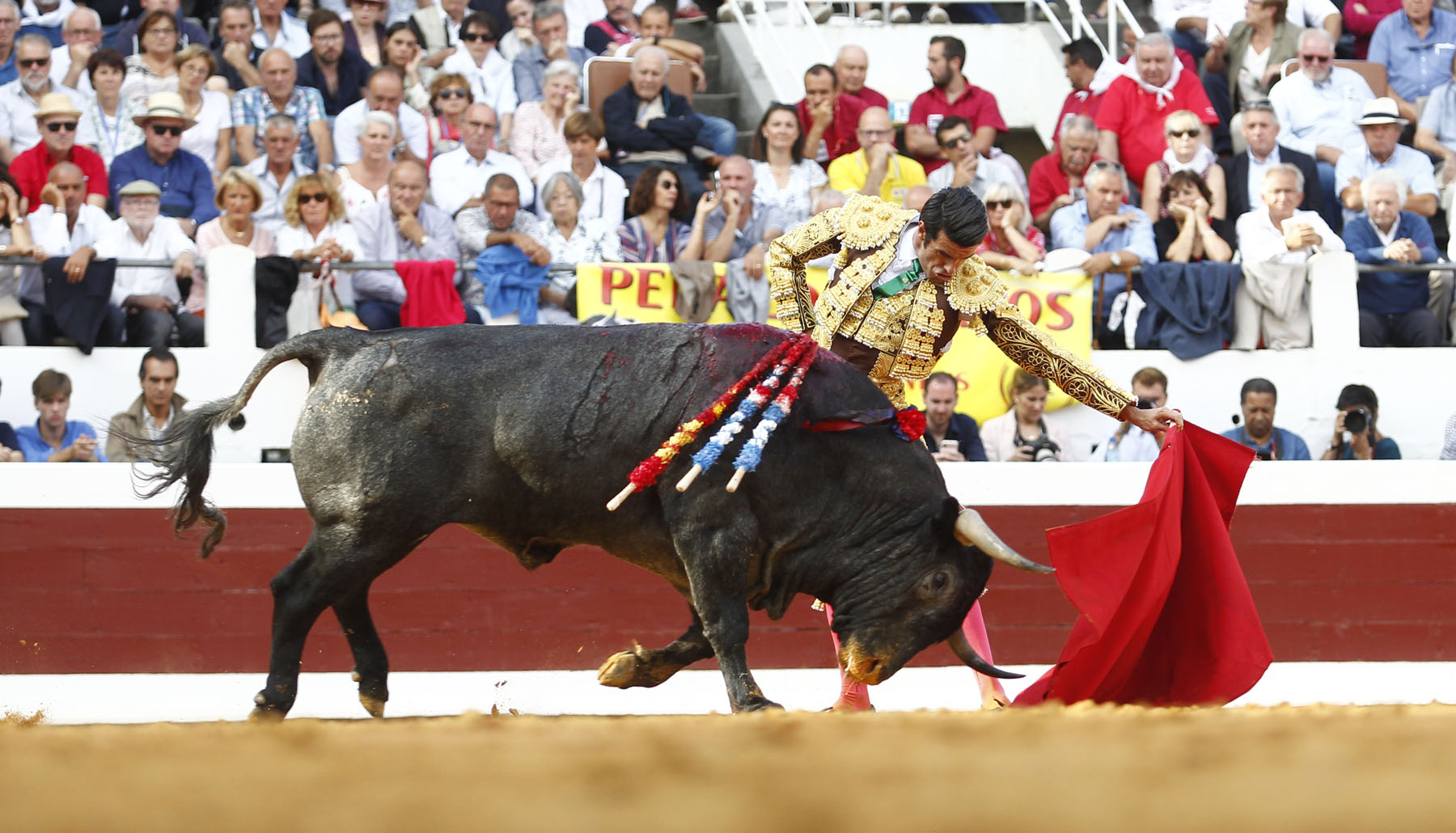Dax, 7 de septiembre de 2019. Toros de Victorino Martín para Emilio de Justo, como único espada
