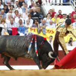 Dax, 7 de septiembre de 2019. Toros de Victorino Martín para Emilio de Justo, como único espada