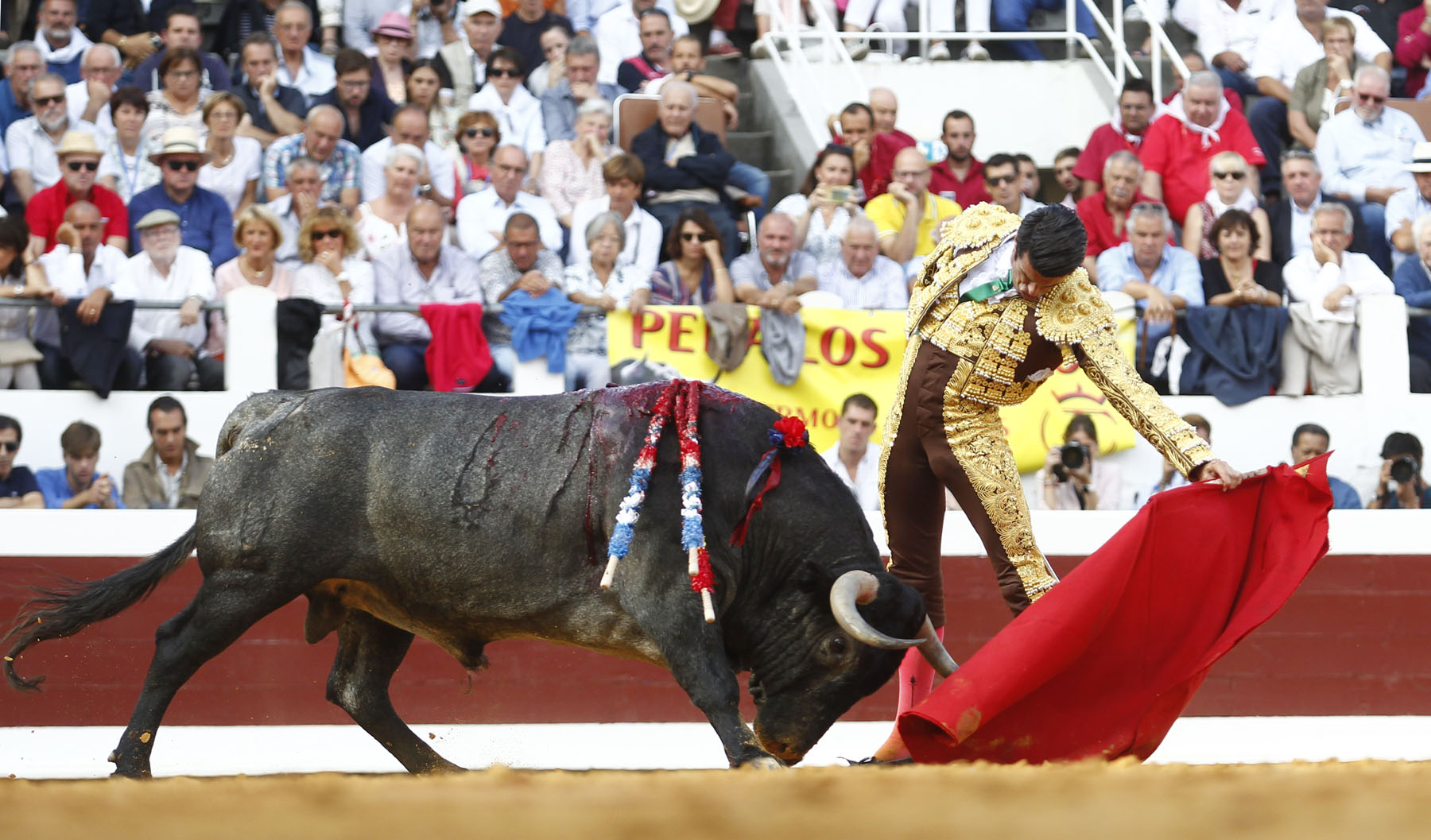 Dax, 7 de septiembre de 2019. Toros de Victorino Martín para Emilio de Justo, como único espada