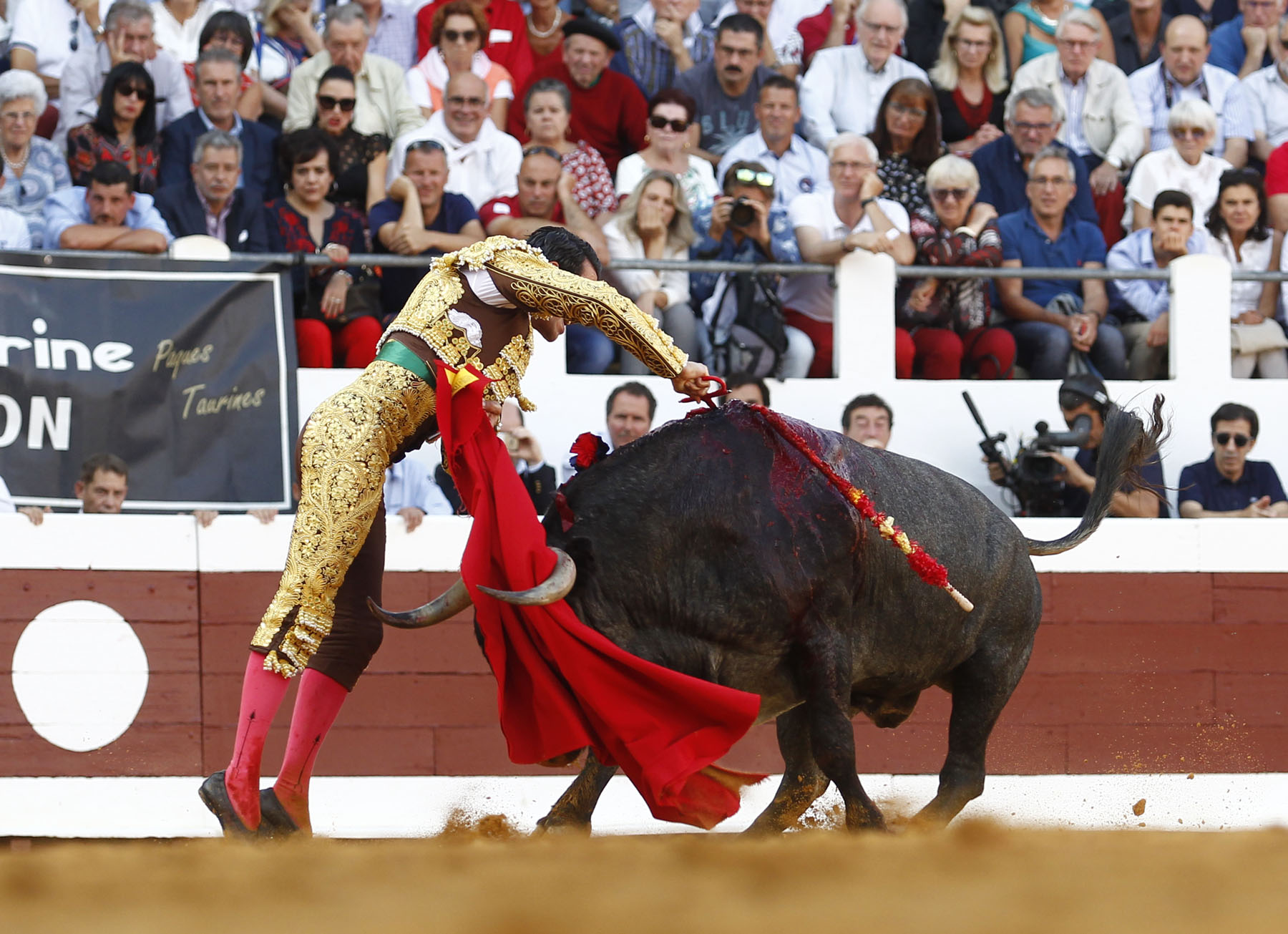 Dax, 7 de septiembre de 2019. Toros de Victorino Martín para Emilio de Justo, como único espada