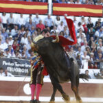 Dax, 7 de septiembre de 2019. Toros de Victorino Martín para Emilio de Justo, como único espada