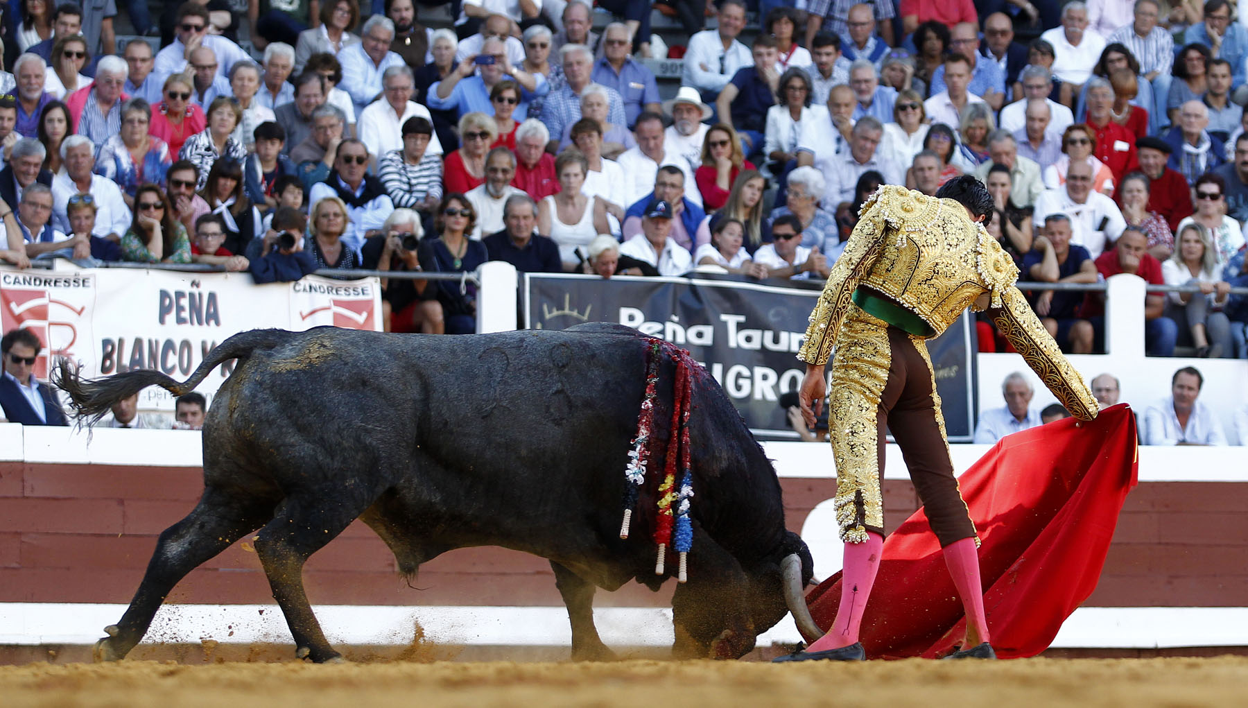 Dax, 7 de septiembre de 2019. Toros de Victorino Martín para Emilio de Justo, como único espada